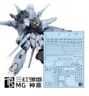 MG 1/100 ZGMF-X13A プロヴィデンスガンダム専用 水転写式デカール