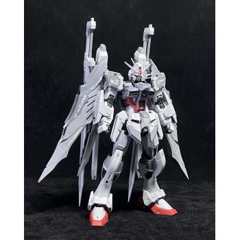 取り寄せ]RG 1/144 インパルスガンダムブランシュ ガレージキット_