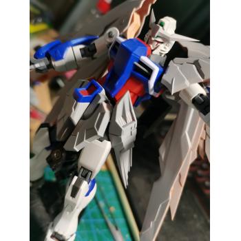 [予約]HGCE 1/144 デスティニーガンダム ガレージキット