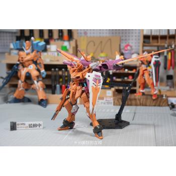 [予約]MG 1/100 ジャスティスガンダム ガレージキット