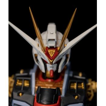 [取り寄せ]MGEX 1/100 マイティーストライクフリーダムガンダム 専用ヘッドパーツセット プラモデル